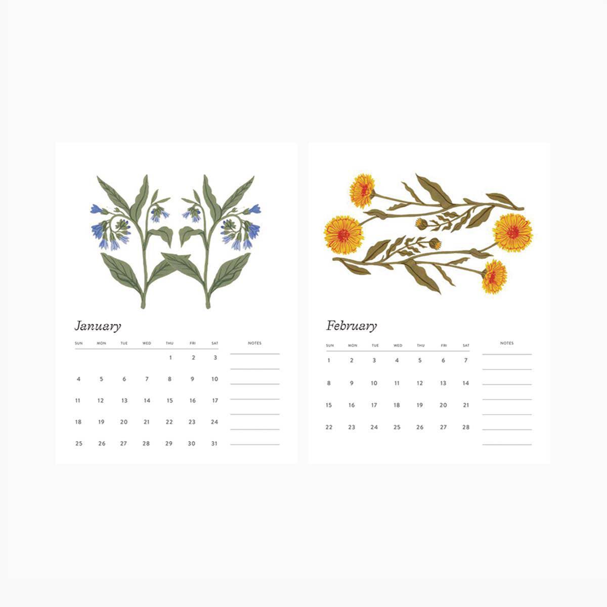 2026 Desk Calendar Botanist Collection